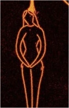 Dana Polk's image