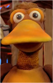 Pato Torquato's image