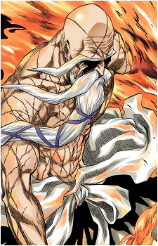 Genryūsai Shigekuni Yamamoto