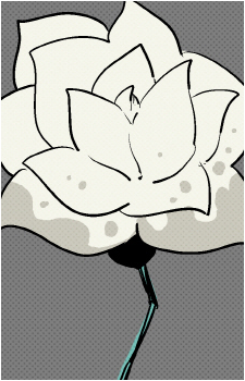 Staining Rose's image