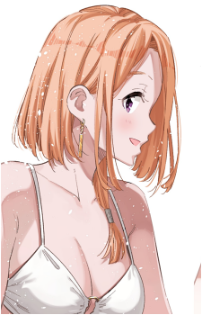 Image 26