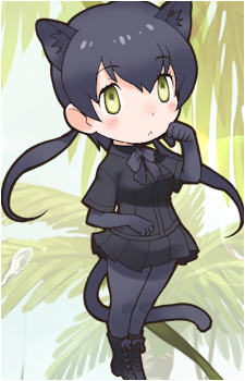 Black Leopard {KF}