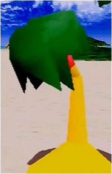 Palm Tree