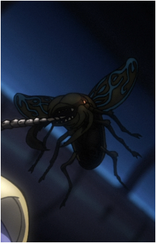 Image 3 Image 3