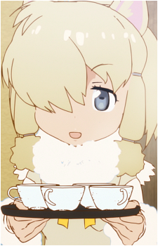 Alpaca Suri
