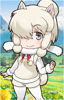 Alpaca Suri's image