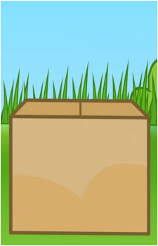Box's image
