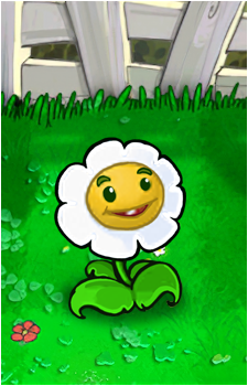 Marigold's image