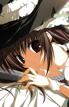 Hasegawa Isaac Izumi Mercedes Jakoko