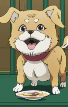 Tonio's Dog's image