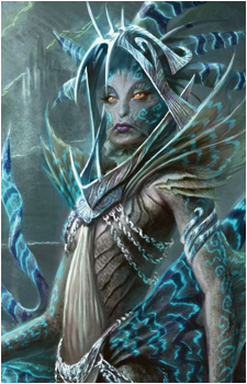 Zegana's image