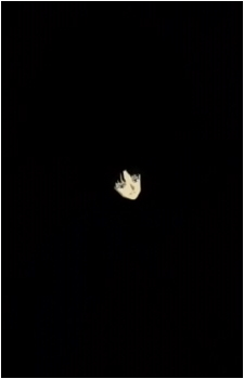 Naraku