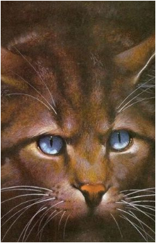 Hawkfrost