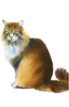 Hawkfrost