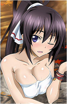 Houki Shinonono