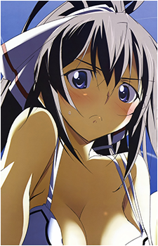 Houki Shinonono