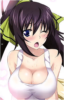 Houki Shinonono