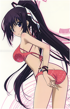 Houki Shinonono