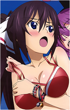 Houki Shinonono
