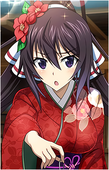 Houki Shinonono