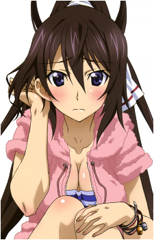 Houki Shinonono