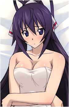 Houki Shinonono
