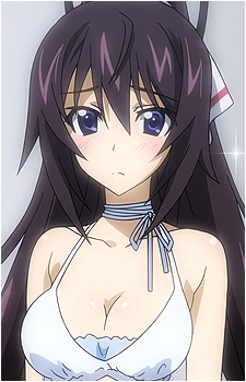 Houki Shinonono