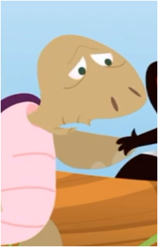 Dr. Turtle