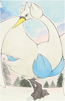 Image 22