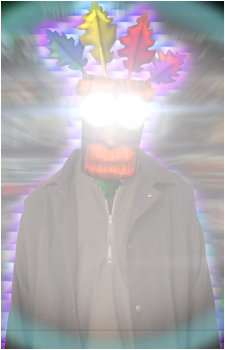 Image 3 Image 3