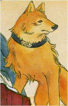 Image 8