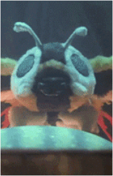 Image 21