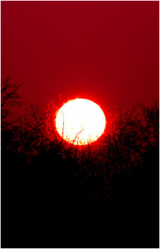 SCP-001 (When Day Breaks)'s image