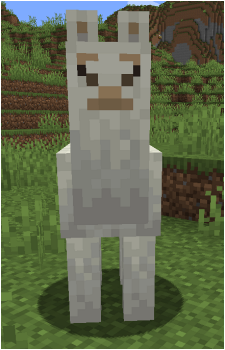 Llama's image