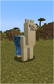 Llama