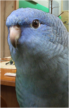 Kenzaburou Urushihara's image