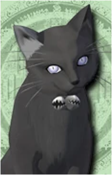 Schroedinger's image