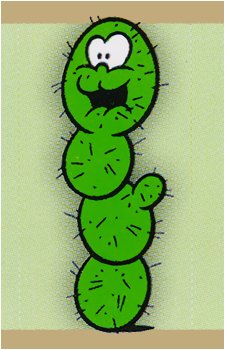 Pokey