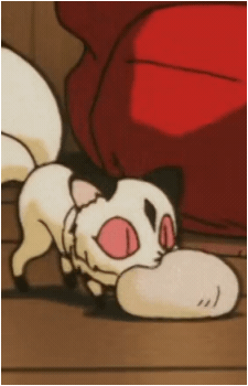Kirara {IY}