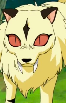 Kirara {IY}