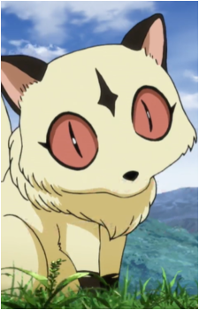 Kirara {IY}