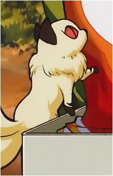 Kirara {IY}