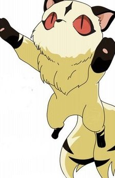 Kirara {IY}