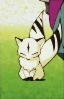 Kirara {IY}