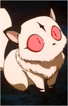 Kirara {IY}