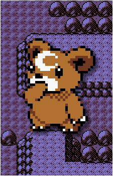 Teddiursa