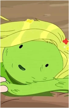Fern {AT}