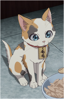Maomao the Cat