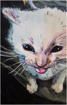 Herbert's image