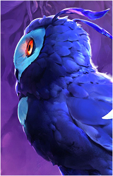 Ku's image